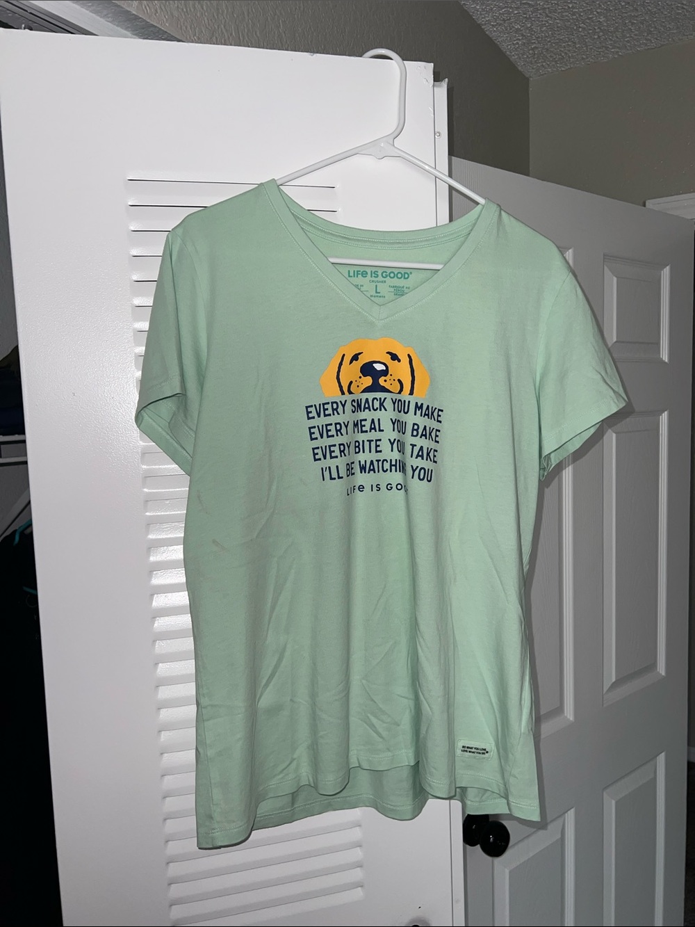 Life Is Good | Mint Green V-Neck Tee with Yellow Dog Graphic